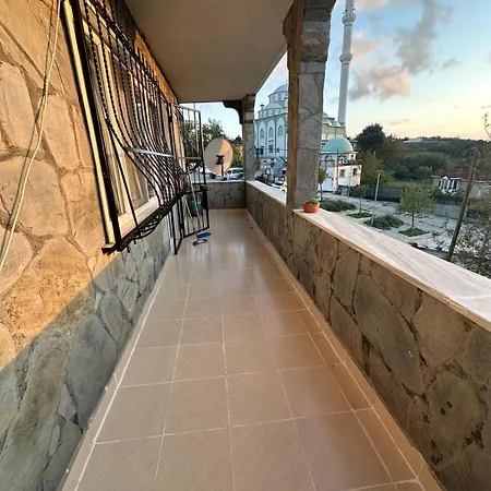 Проживание в семье Pilot 2